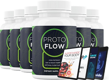 What Is ProtoFlow